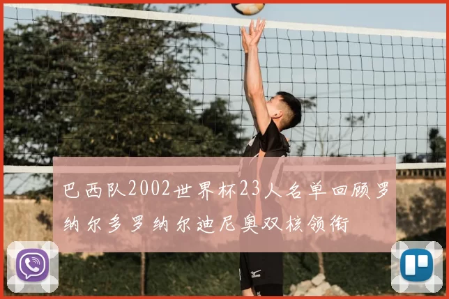 巴西队2002世界杯23人名单回顾罗纳尔多罗纳尔迪尼奥双核领衔