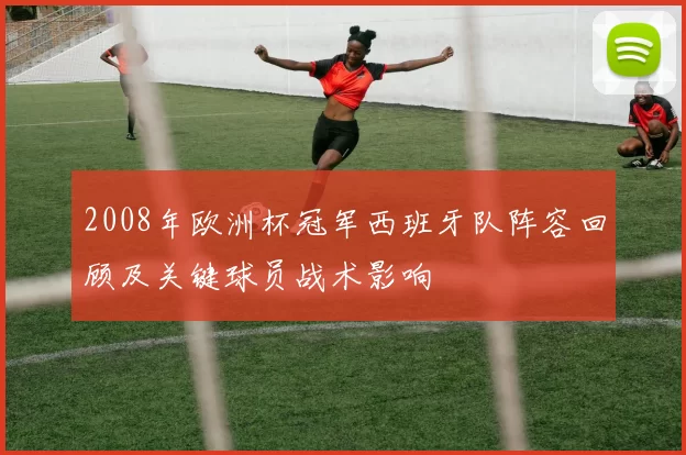 2008年欧洲杯冠军西班牙队阵容回顾及关键球员战术影响