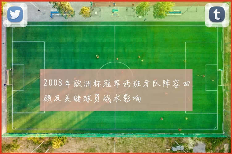 2008年欧洲杯冠军西班牙队阵容回顾及关键球员战术影响