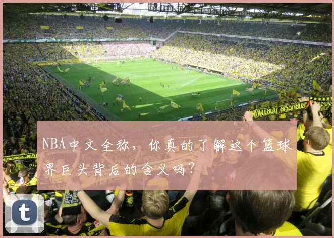 NBA中文全称，你真的了解这个篮球界巨头背后的含义吗？