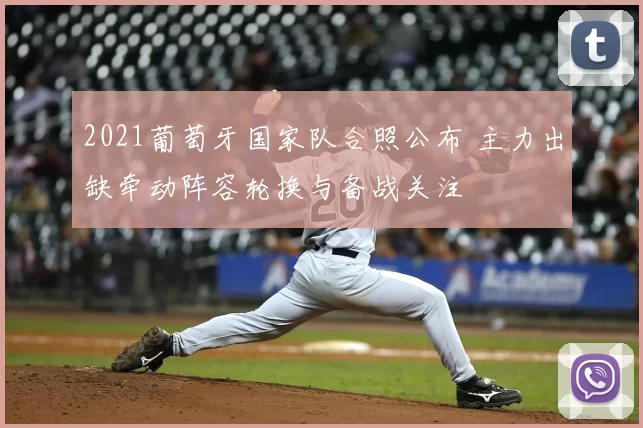 2021葡萄牙国家队合照公布 主力出缺牵动阵容轮换与备战关注