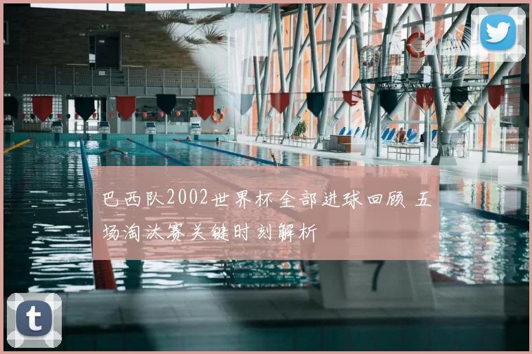 巴西队2002世界杯全部进球回顾 五场淘汰赛关键时刻解析