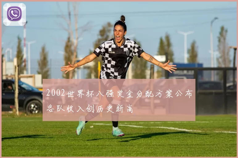 2002世界杯八强奖金分配方案公布各队收入创历史新高