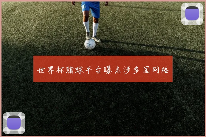 世界杯赌球平台曝光涉多国网络
