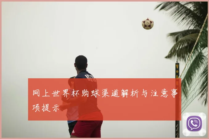 网上世界杯购球渠道解析与注意事项提示