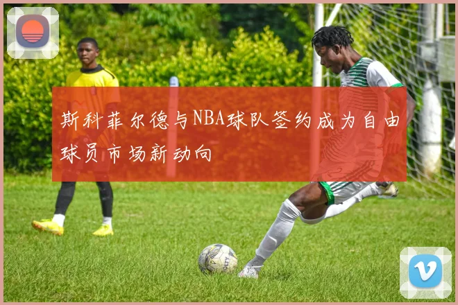 斯科菲尔德与NBA球队签约成为自由球员市场新动向