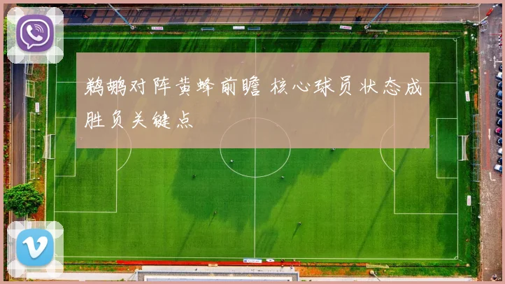 鹈鹕对阵黄蜂前瞻 核心球员状态成胜负关键点