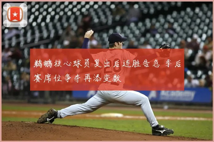 鹈鹕核心球员复出后连胜告急 季后赛席位争夺再添变数