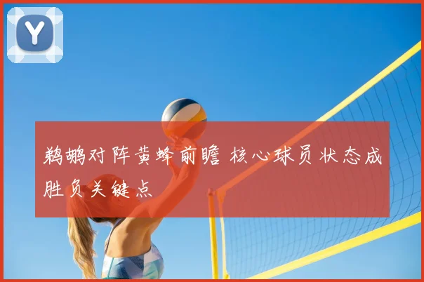 鹈鹕对阵黄蜂前瞻 核心球员状态成胜负关键点