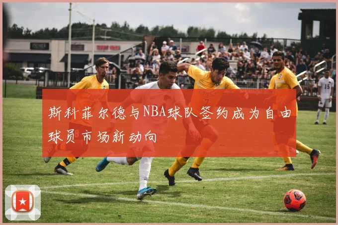 斯科菲尔德与NBA球队签约成为自由球员市场新动向